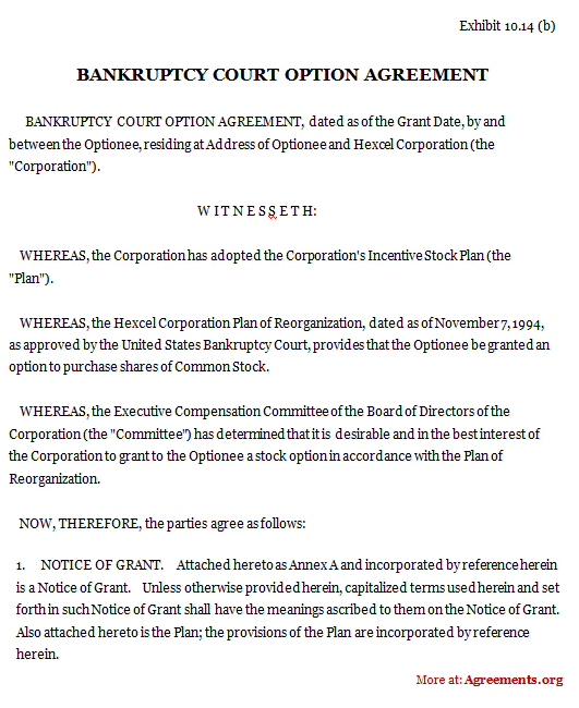 Download Bankruptcy Court Option Agreement Template